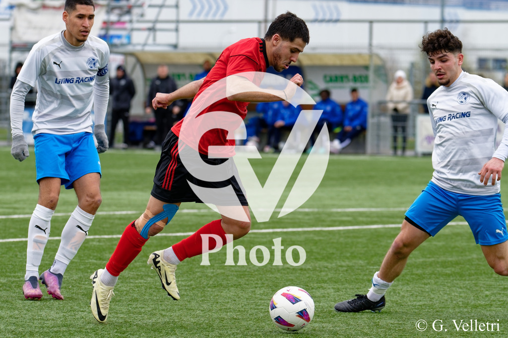 DSC_4085 | Velletri Photo