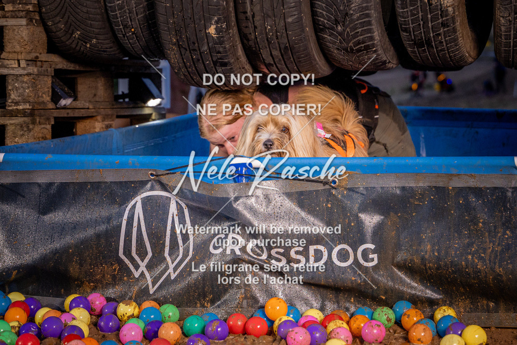 nelerasche_SummerNights26_Sa2100-2130_307 | nelerasche
