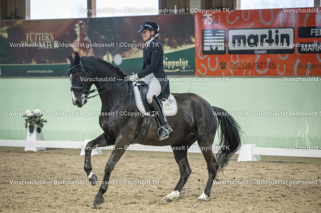 _D5A7097 | Emotionale Pferde- & People-Fotografie rund um Heidelberg, Leimen & Umgebung. Natürliche Fotos von Pferd, Mensch & Familie. Jetzt Termin sichern!