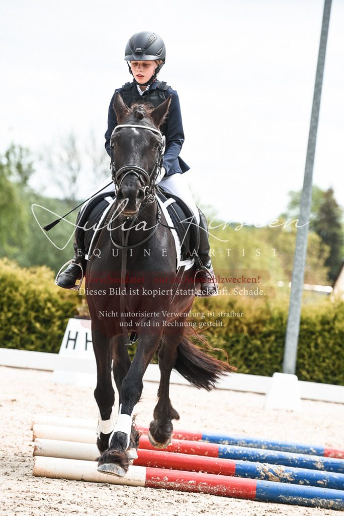 20230518_JK-Röhrsdorf-10-749 | Pferde- und Turnierfotografie in Westsachsen. Pferdeportraits, Auftragszeichnungen und intuitive Kunst.