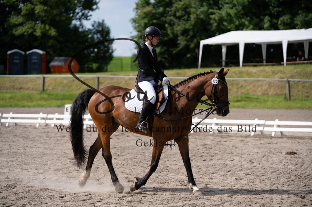 A7V02582 | Pferdefotograf