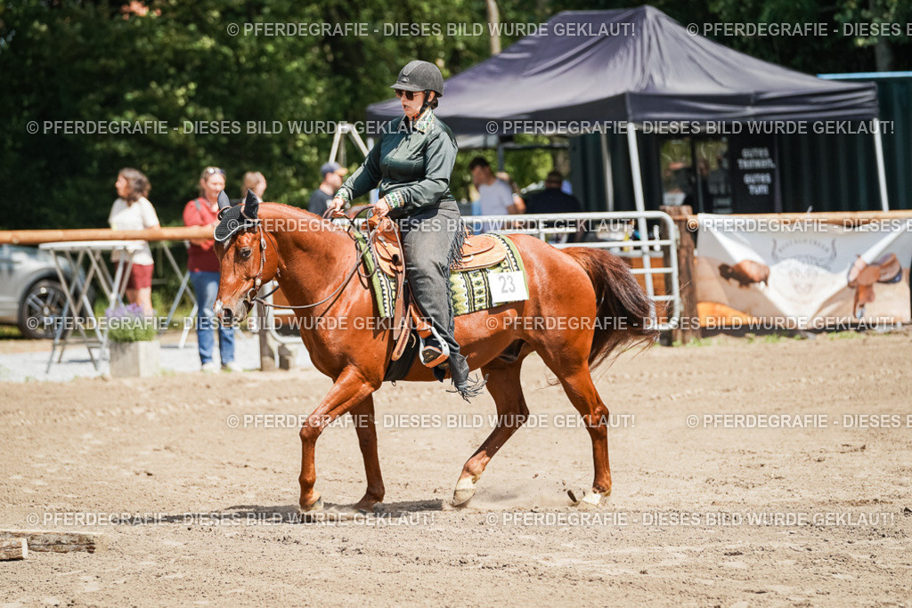 DSC06526 | Pferdegrafie