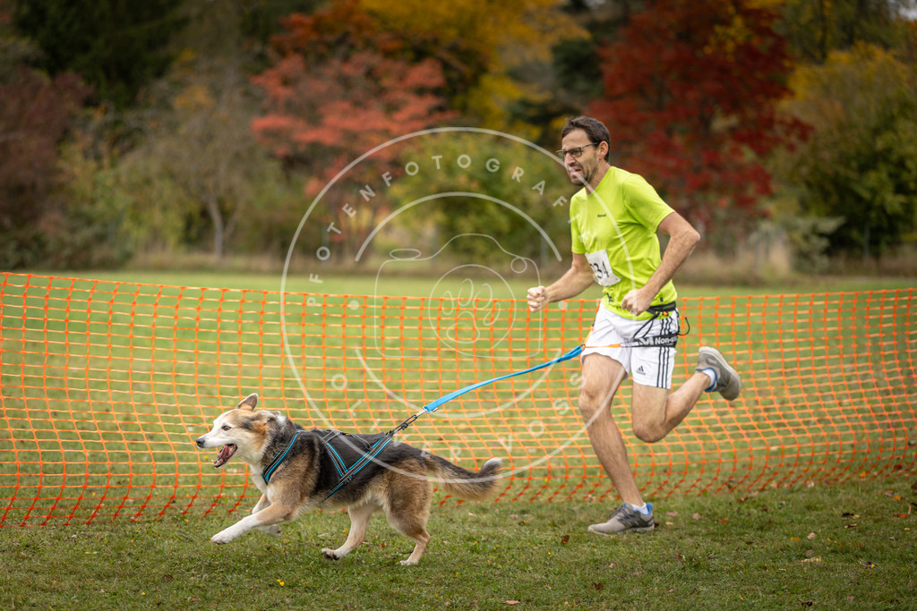 Pfotenfotografie_DV3A4399 | Hundefotografie, Tierfotograf, Pfotenfotografie, Fotoshooting Hund, Hunde Portrait, Hundesport, Hundeportraits, Heideshooting, Hunde, Sportfotograf, Hundefotograf, Turnierhundsport, THS,  - Realisiert mit Pictrs.com