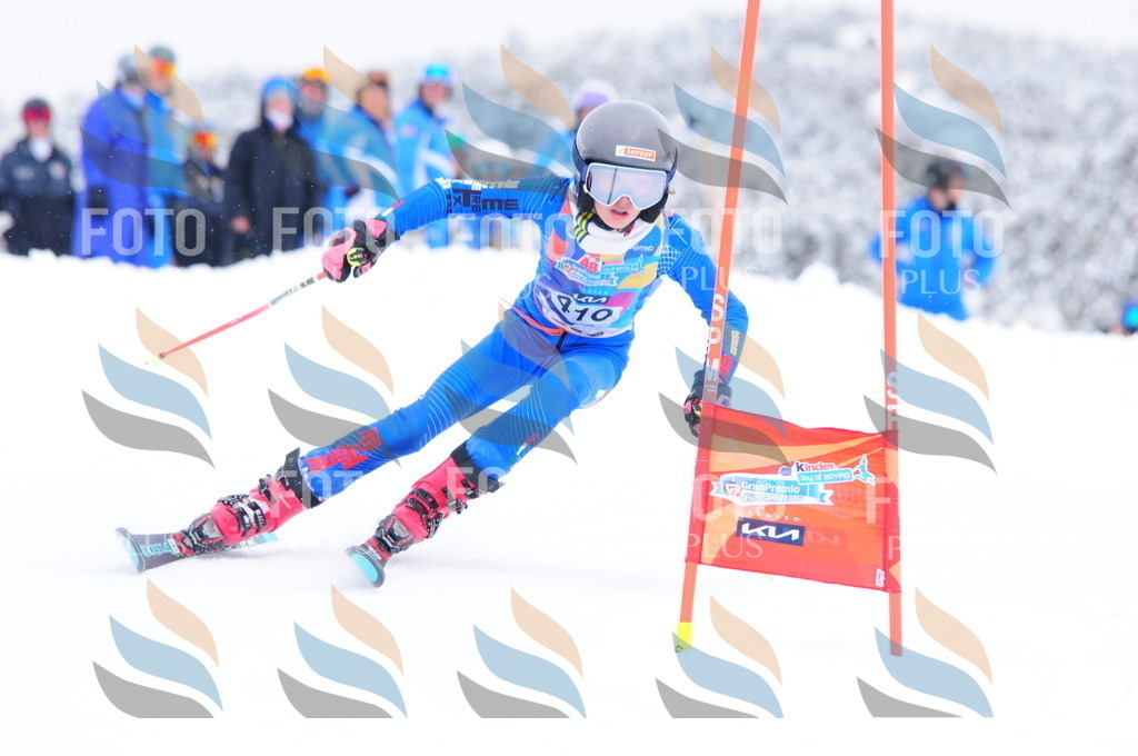 C4313 | holidayphoto