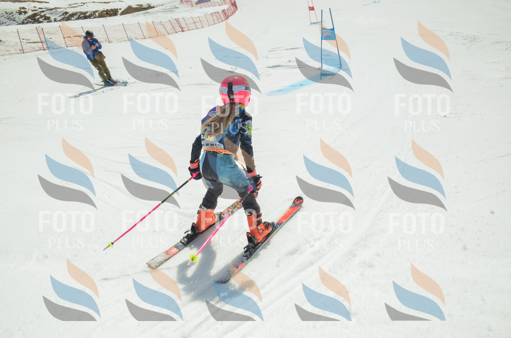 _ELE5064 | holidayphoto