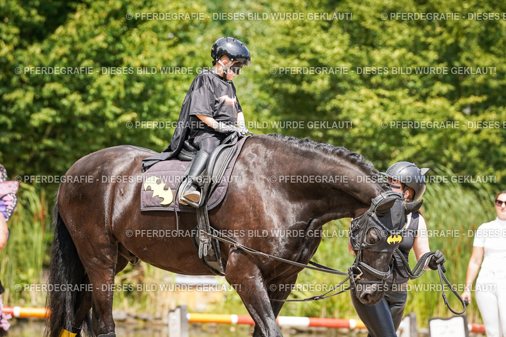 DSC03033 | Pferdegrafie