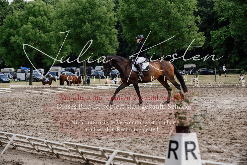 DSC_0787 | Pferde- und Turnierfotografie in Westsachsen. Pferdeportraits, Auftragszeichnungen und intuitive Kunst.