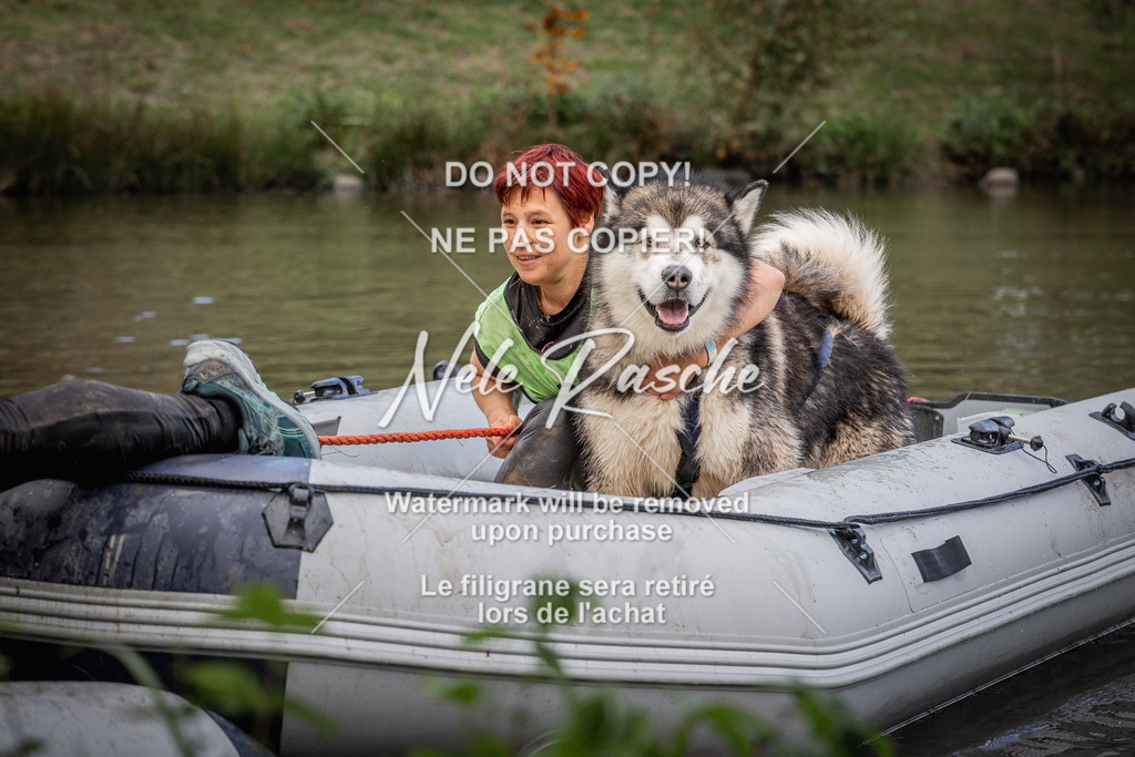 nelerasche_Sa1545-Ende_252 | nelerasche
