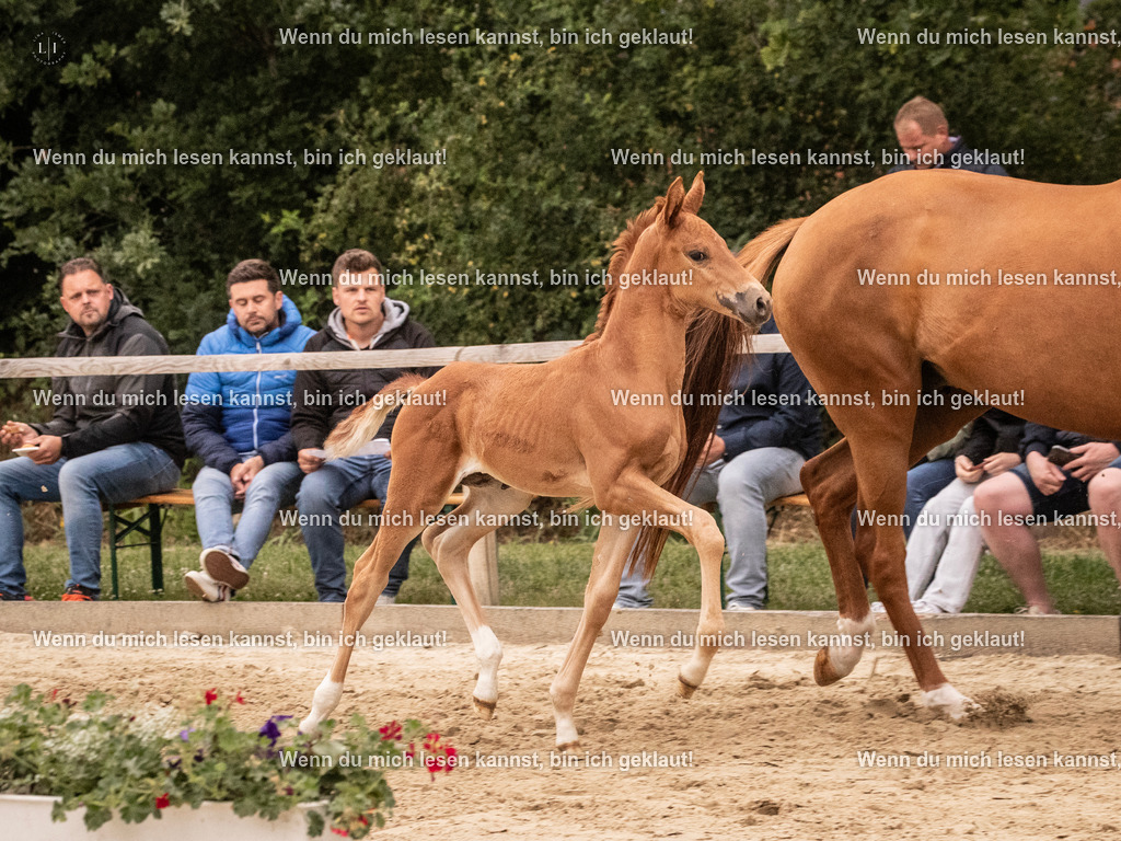 A10I4904 | photographylinaismer - Realisiert mit Pictrs.com