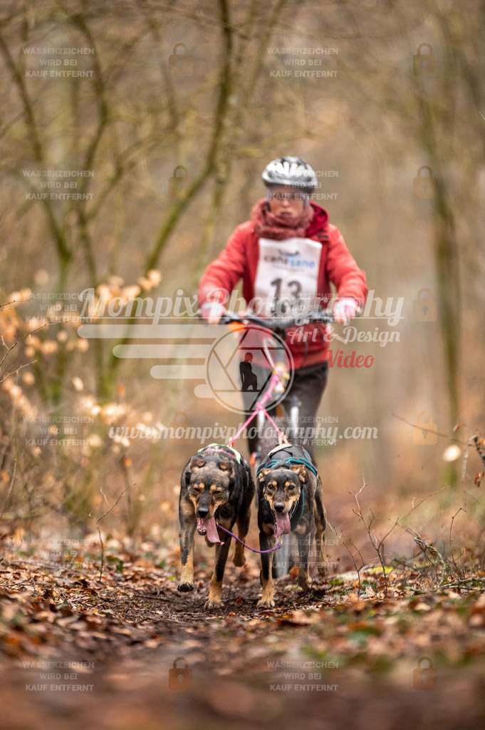 Reiat2023_SON_DS2_8km_2H-14 | PayLife