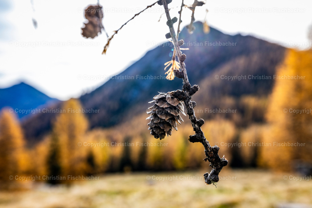 Fotos_Copyright_Chri_Fischbacher_Druck-512 | Bildershop Chri Fischbacher - Realisiert mit Pictrs.com