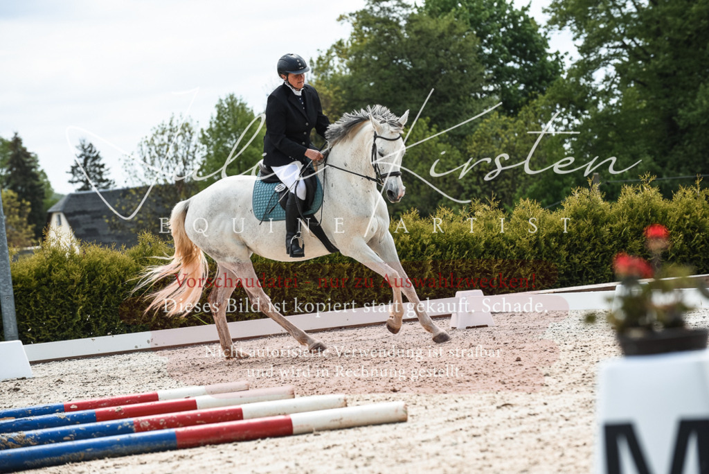 20230518_JK-Röhrsdorf-10-278 | Pferde- und Turnierfotografie in Westsachsen. Pferdeportraits, Auftragszeichnungen und intuitive Kunst.