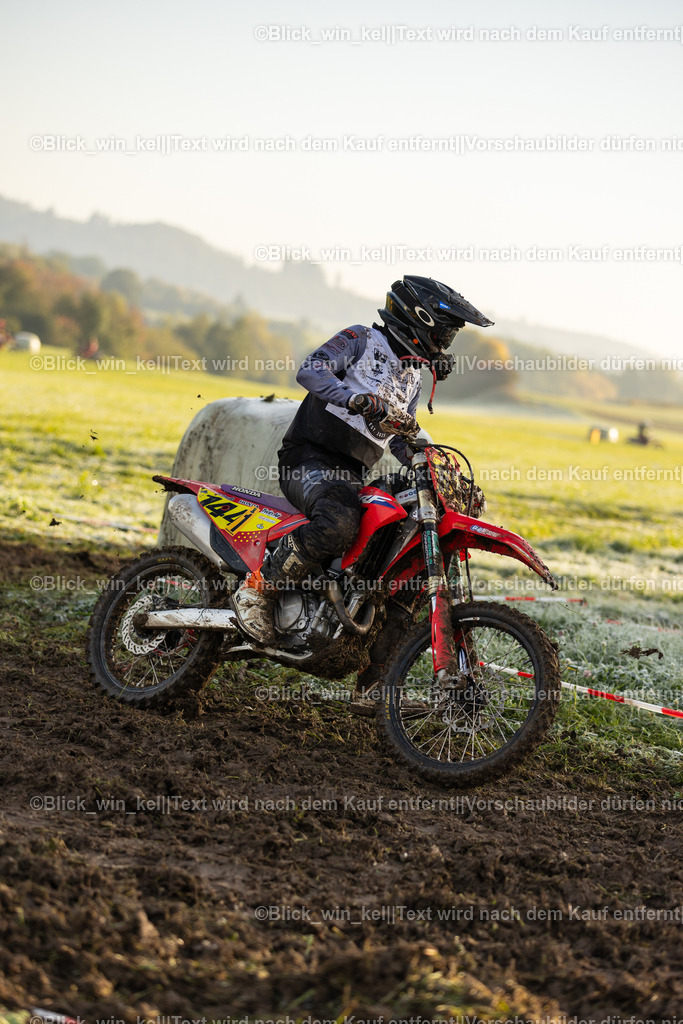 E68A8717 | blick_win_kel