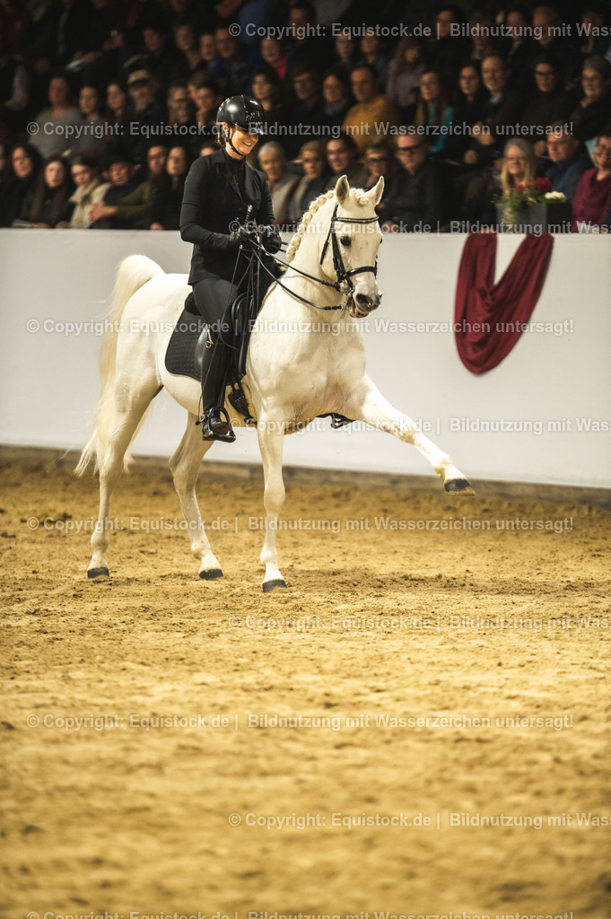 20240302_Hengstvorstellung_Marbach_TOMsPiC_1120 | equistock