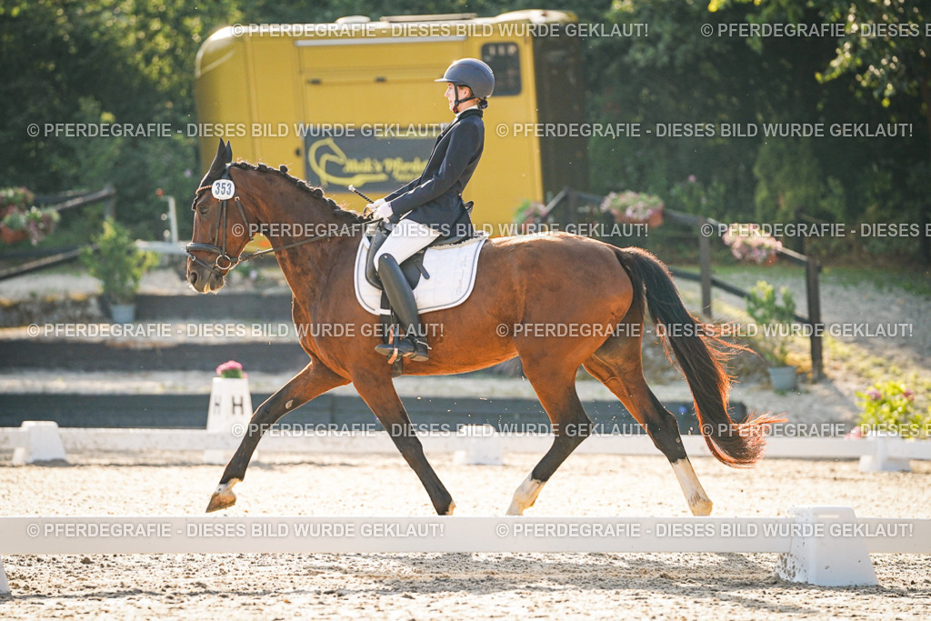 DSC07861 | Pferdegrafie