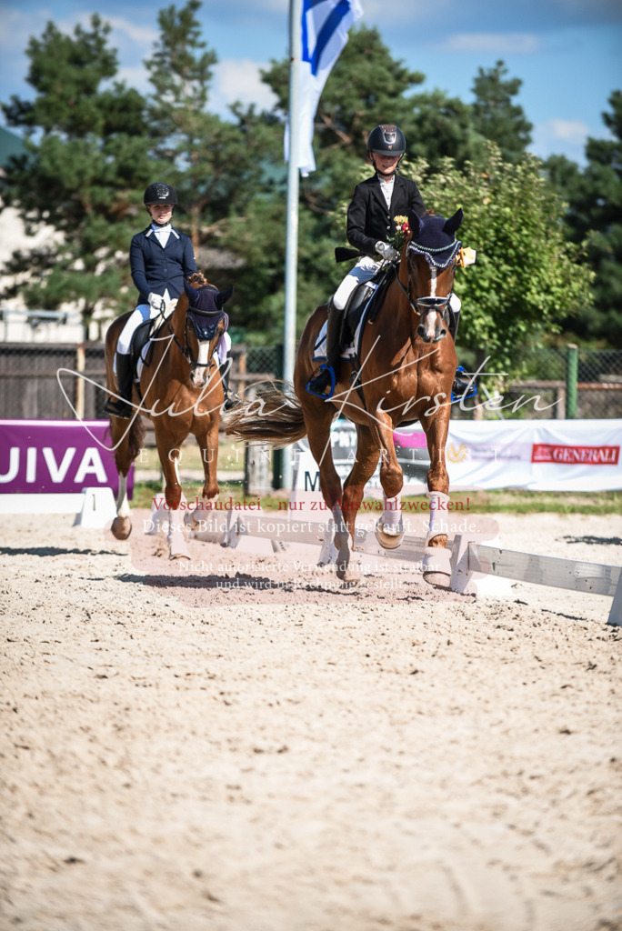 DSC_9749 | Pferde- und Turnierfotografie in Westsachsen. Pferdeportraits, Auftragszeichnungen und intuitive Kunst.