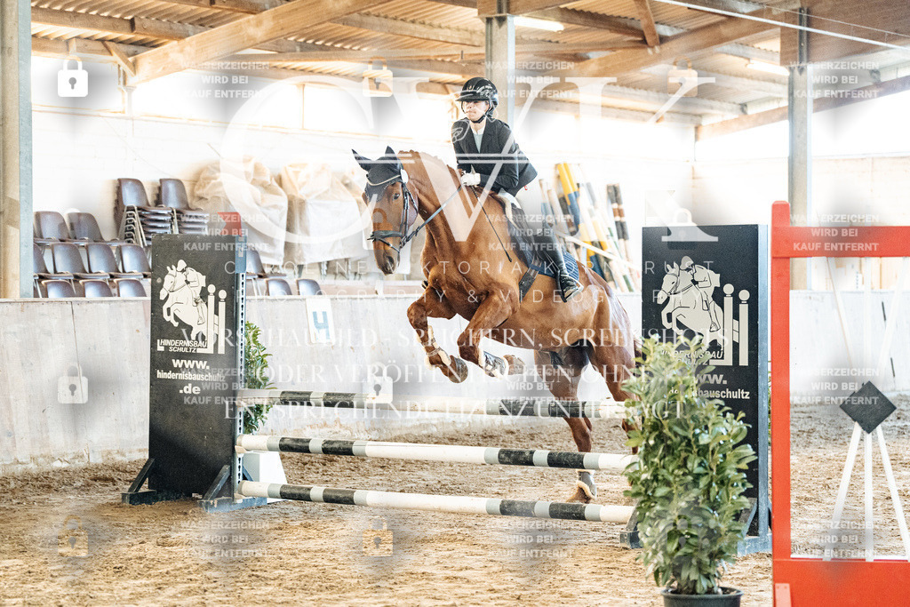 CK904073 | Turnierfotografie Pferdefotografie Trier Rheinland-Pfalz Pferdesport Reitsport Tierfotografie Sportfotografie Pferdevideo Pferdevideografie Equestrianvideography equestrianphotography  - Realisiert mit Pictrs.com