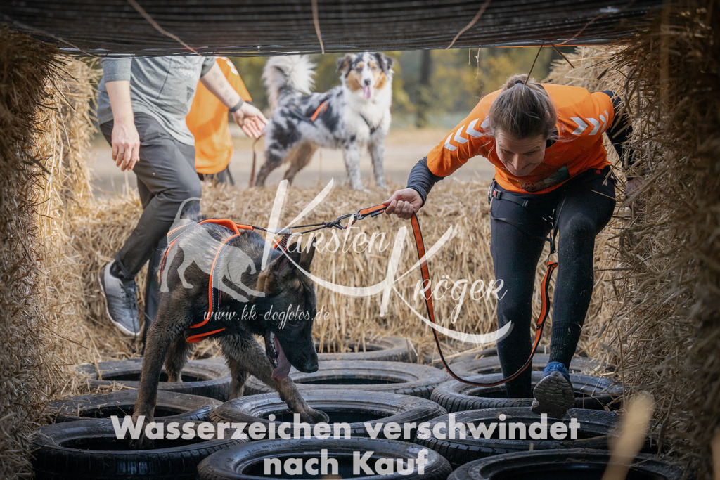 1031_ZZ98488 | kk-dogfotos