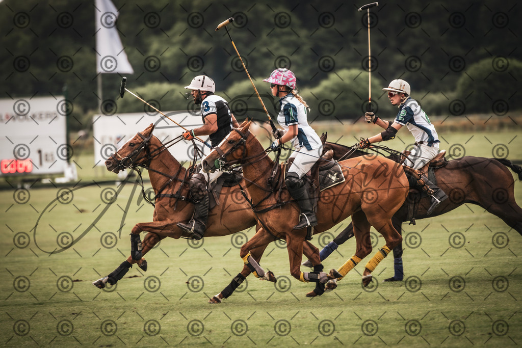 POL_3768-2 | andre_photographic