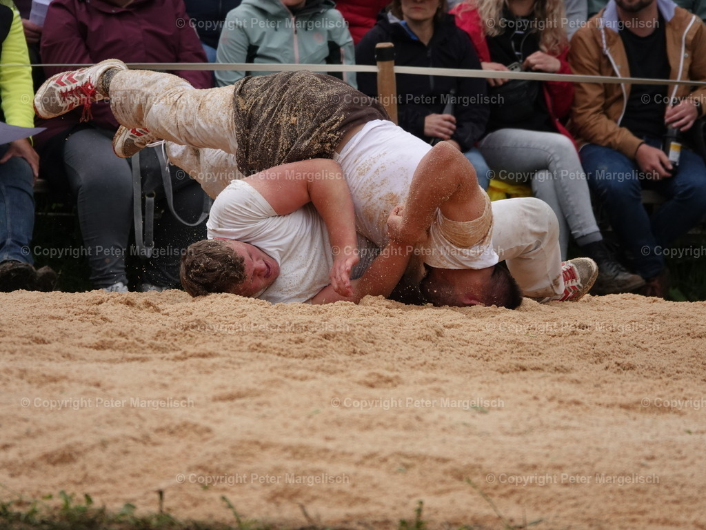 DSC07704 | Schwingen - Realisiert mit Pictrs.com