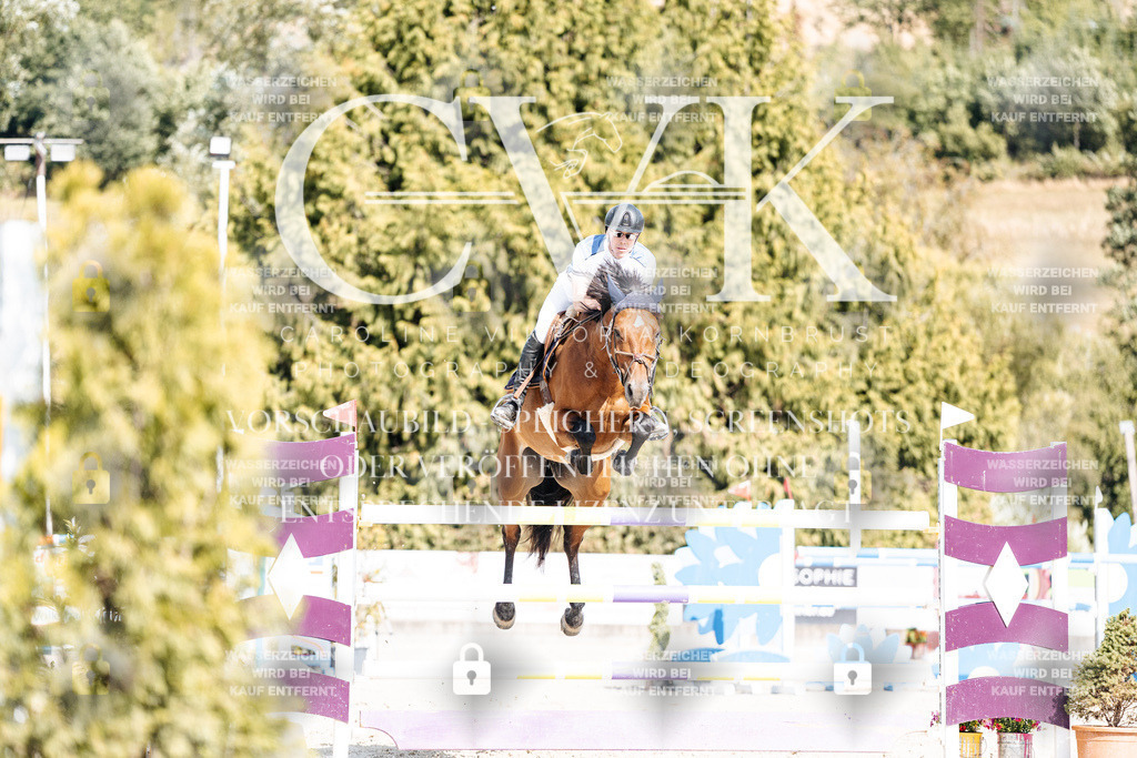 CK908917 | Turnierfotografie Pferdefotografie Trier Rheinland-Pfalz Pferdesport Reitsport Tierfotografie Sportfotografie Pferdevideo Pferdevideografie Equestrianvideography equestrianphotography  - Realisiert mit Pictrs.com