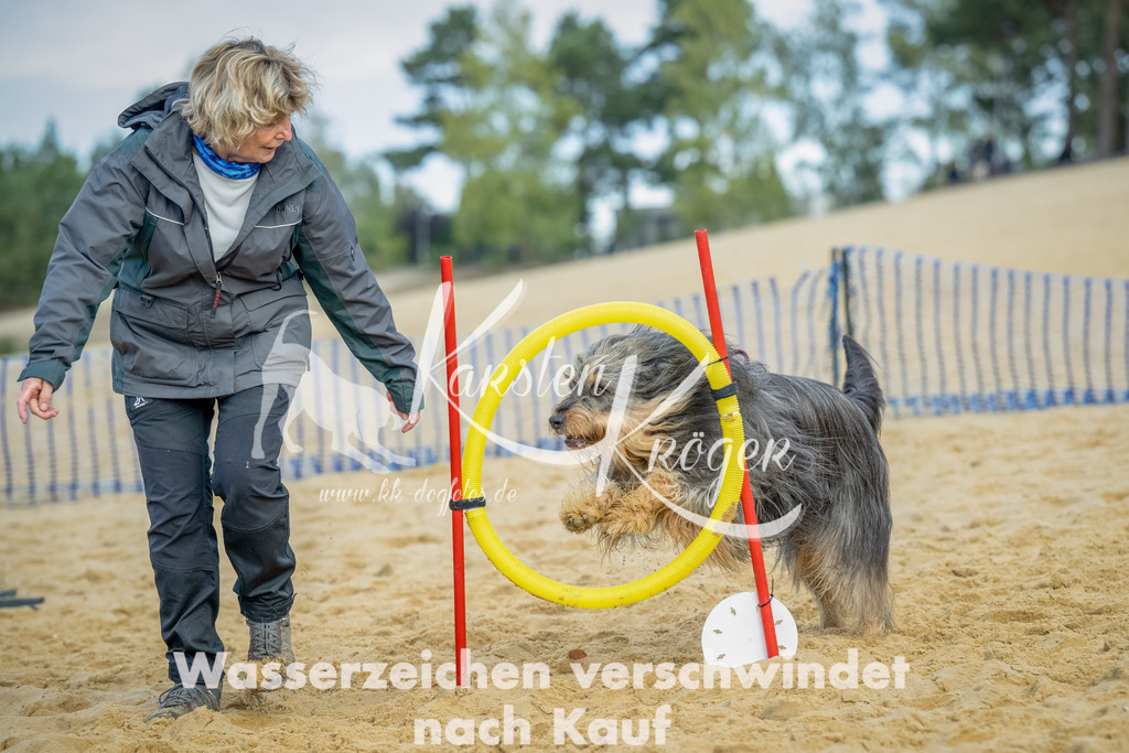 0909_ZZ91909-Bearbeitet | kk-dogfotos