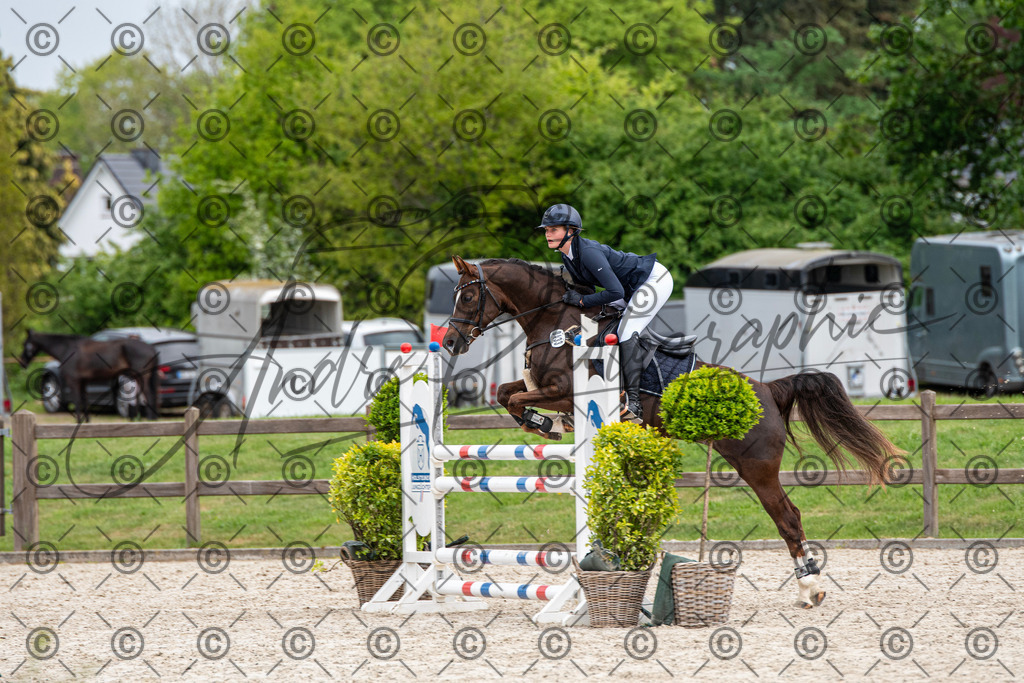 KPT_8207 | andre_photographic