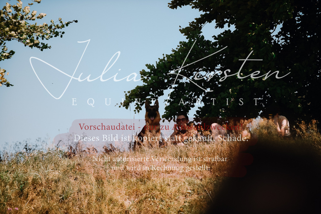 DSC_3005 | Pferde- und Turnierfotografie in Westsachsen. Pferdeportraits, Auftragszeichnungen und intuitive Kunst.
