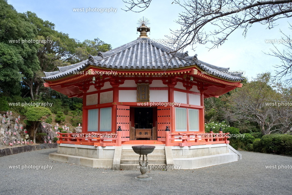 Aizendo - JPN 2025 | west photography - Realisiert mit Pictrs.com