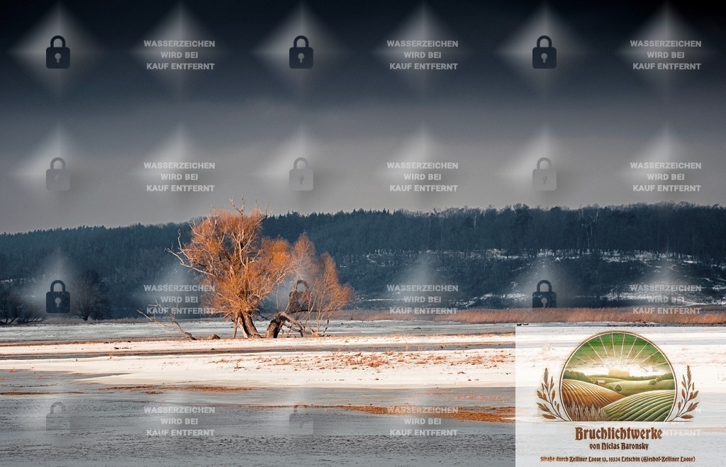 Schneebruch | Professioneller Fotograf mit 10 Jahren Erfahrung. Landschafts- und Hochzeitsfotografie im Oderbruch. Workshops und beeindruckende Bilder für besondere Momente.