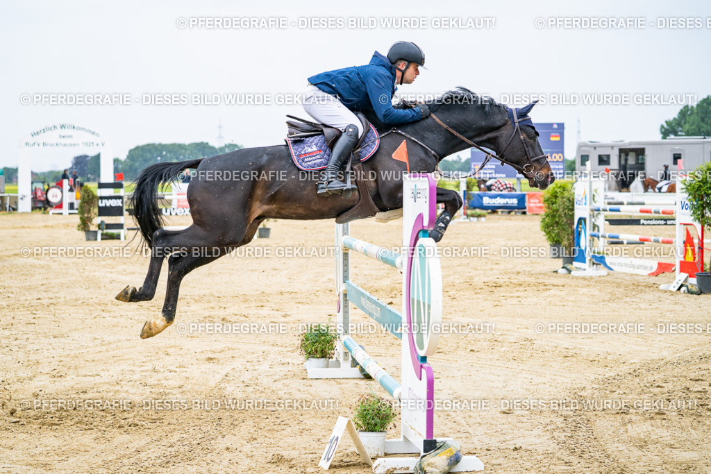 DSC08360 | Pferdegrafie