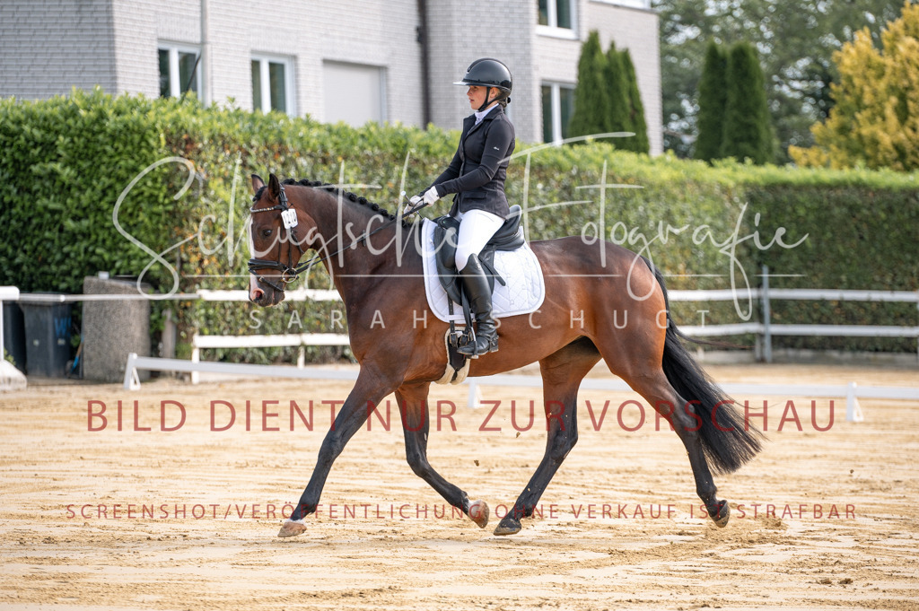 Schugtsche-Aluta25-40.DressurprfA_-27 | Schugtsche Fotografie - Realisiert mit Pictrs.com