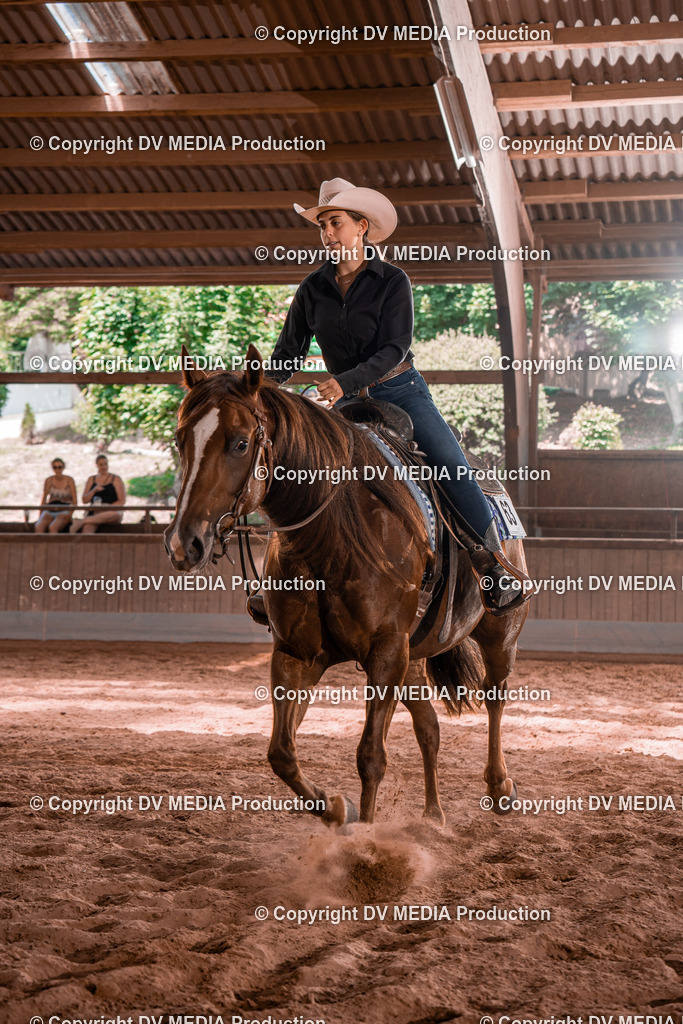 NE100537 | dv-media-shop - Realisiert mit Pictrs.com