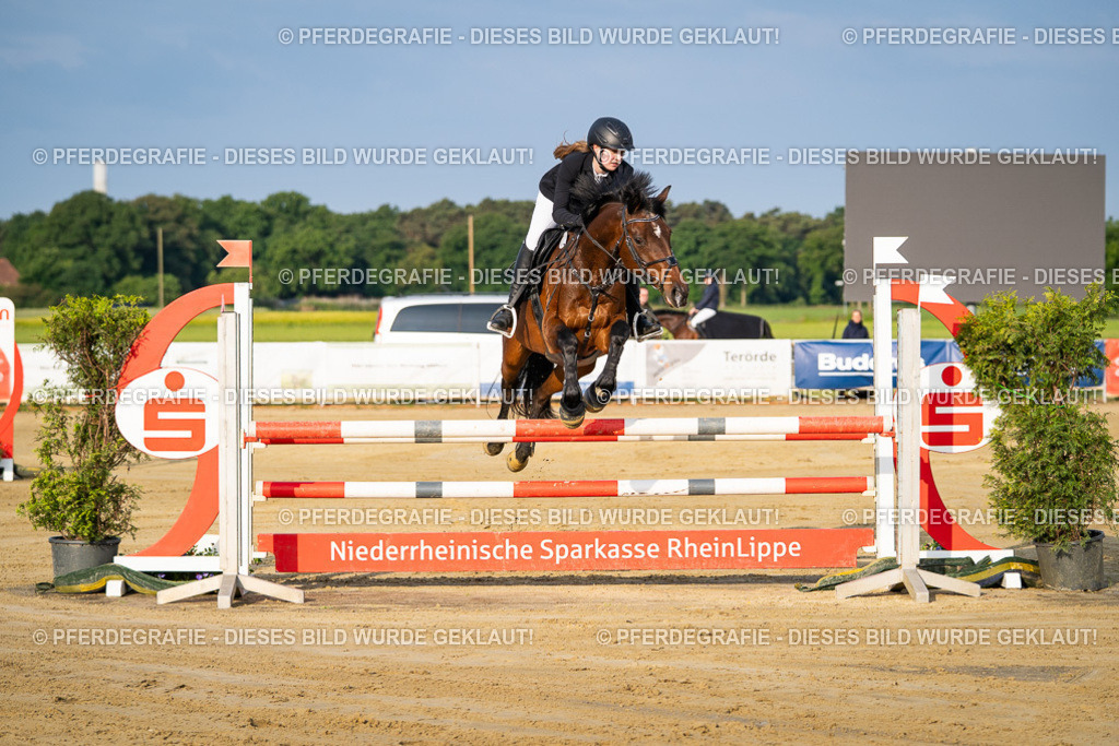 DSC02018 | Pferdegrafie