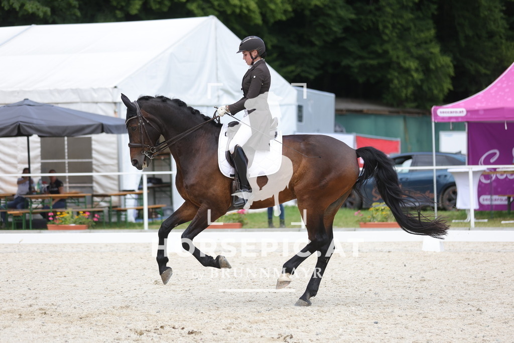 0P6A6983 | Willkommen bei Brunnmayr - Design & Fotografie – Ihrem Spezialisten für Reitturniere und Pferdeveranstaltungen in Oberösterreich, Salzburg und Bayern! Seit über 17 Jahren sind wir leidenschaftlich dabei.