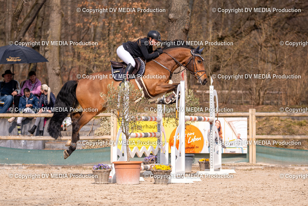 Kranichstein Tag 2-1911 | dv-media-shop - Realisiert mit Pictrs.com