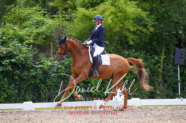 DKP41239 | Turnierfotos kaufen im Webshop von Daniel Kuhl Photography – entdecke professionelle Reitsportfotos aus Turnieren & Events. Hochwertige Turnierbilder online bestellen & sichern. Jetzt Fotos von Reitsportturnieren kaufen!