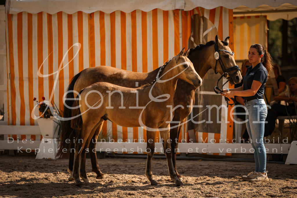 11.DoRP00002 | Leoni Ertmer Photography - Realisiert mit Pictrs.com