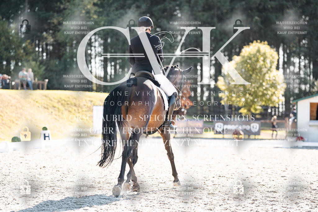 CK906311 | Turnierfotografie Pferdefotografie Trier Rheinland-Pfalz Pferdesport Reitsport Tierfotografie Sportfotografie Pferdevideo Pferdevideografie Equestrianvideography equestrianphotography  - Realisiert mit Pictrs.com