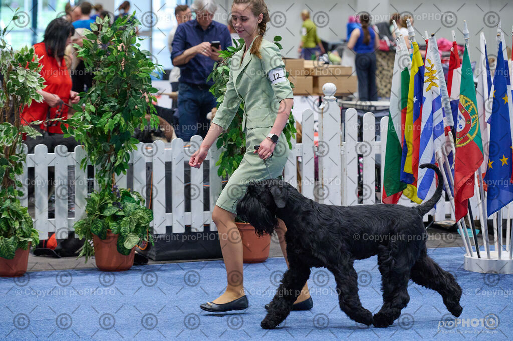 202406_ÖKV-IHA-Tulln24_DSC_4769 | proPHOTO - Realisiert mit Pictrs.com