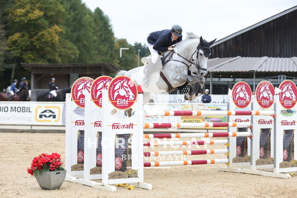0P6A3644 | Willkommen bei Brunnmayr - Design & Fotografie – Ihrem Spezialisten für Reitturniere und Pferdeveranstaltungen in Oberösterreich, Salzburg und Bayern! Seit über 17 Jahren sind wir leidenschaftlich dabei.