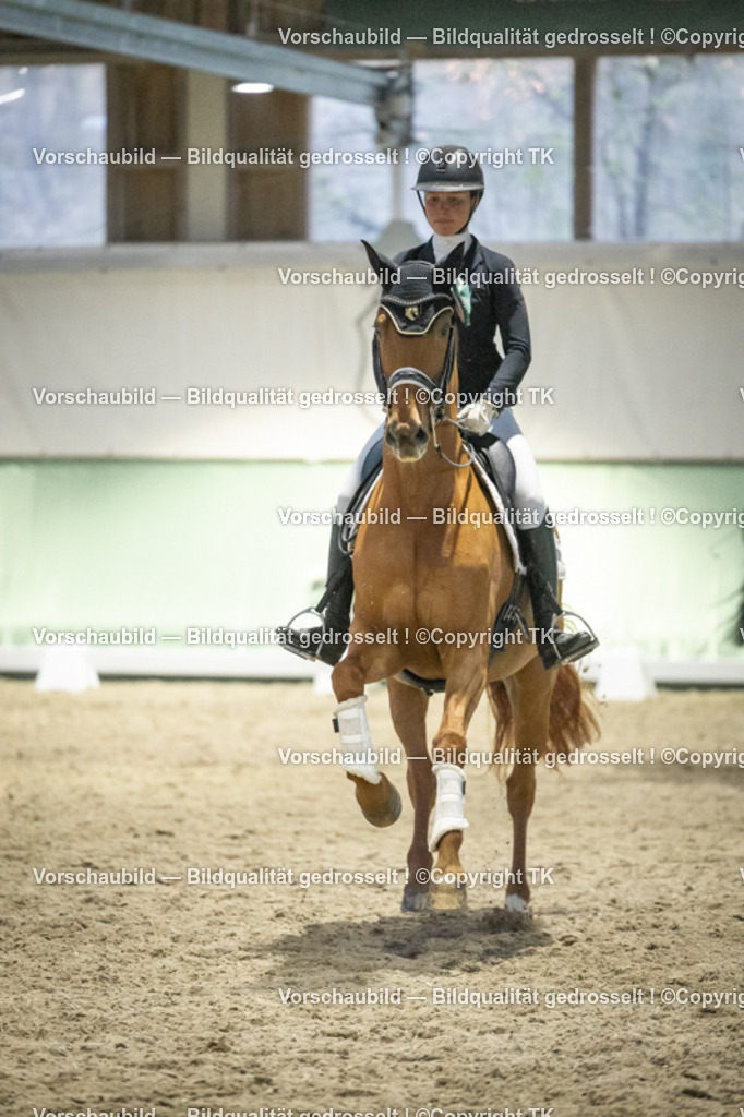 _D5A3832 | Emotionale Pferde- & People-Fotografie rund um Heidelberg, Leimen & Umgebung. Natürliche Fotos von Pferd, Mensch & Familie. Jetzt Termin sichern!