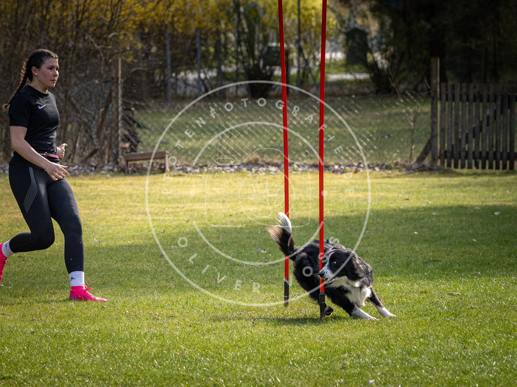 Pfotenfotografie_DV3A3604 | Hundefotografie, Tierfotograf, Pfotenfotografie, Fotoshooting Hund, Hunde Portrait, Hundesport, Hundeportraits, Heideshooting, Hunde, Sportfotograf, Hundefotograf, Turnierhundsport, THS,  - Realisiert mit Pictrs.com
