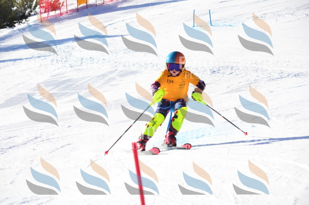 C6212 | holidayphoto