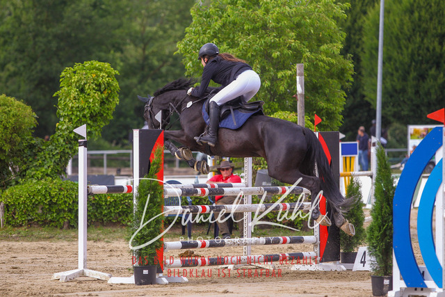 DKP42147 | Turniersportfotografie; Pferdefotografie; Dressurfotografie