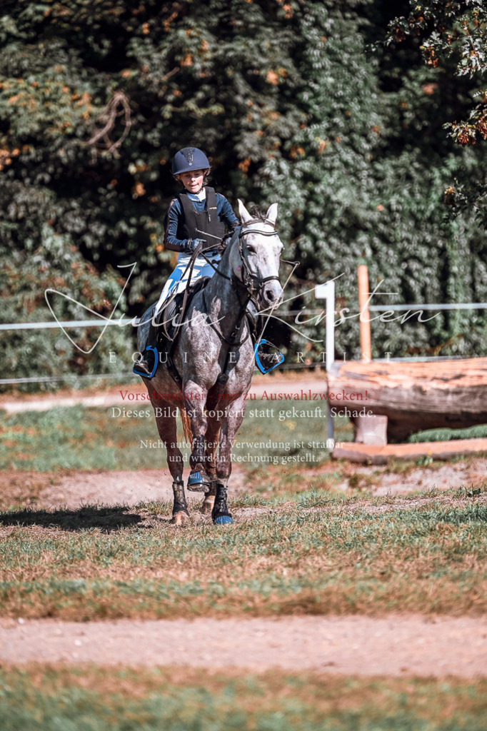 DSC_1167 | Pferde- und Turnierfotografie in Westsachsen. Pferdeportraits, Auftragszeichnungen und intuitive Kunst.