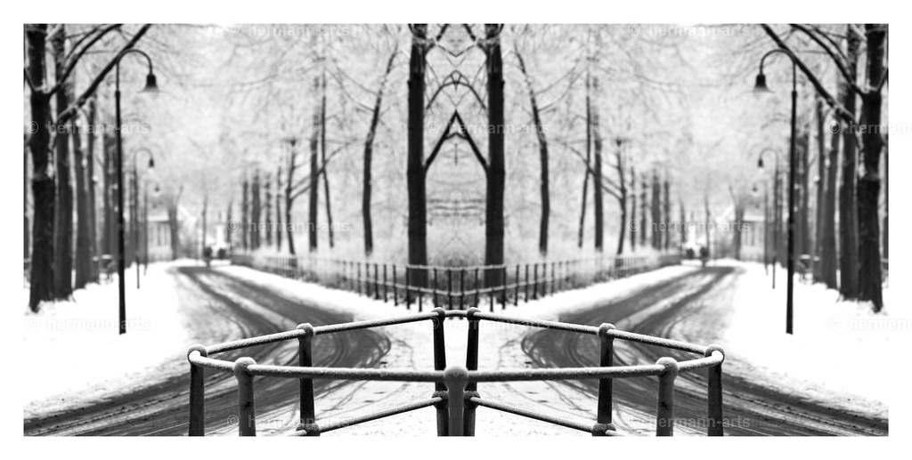 Hermann-Arts_Spiegelbilder_071 | Photo Foto Kunst Art schwarzweiss Bilder Rheine Münster Berlin Blumen 