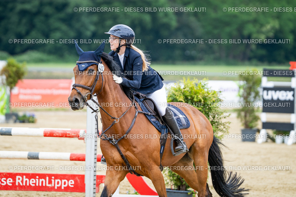 DSC03752 | Pferdegrafie