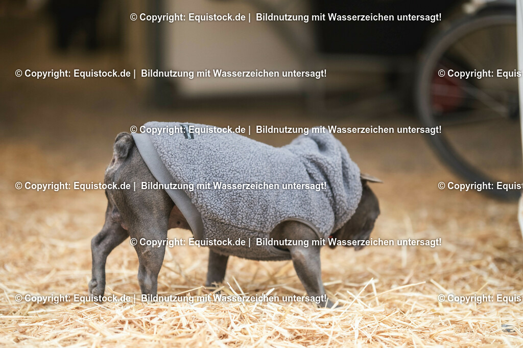 20231117_Impressionen_0168_TOMsPiC | Foto: Thomas Hartig