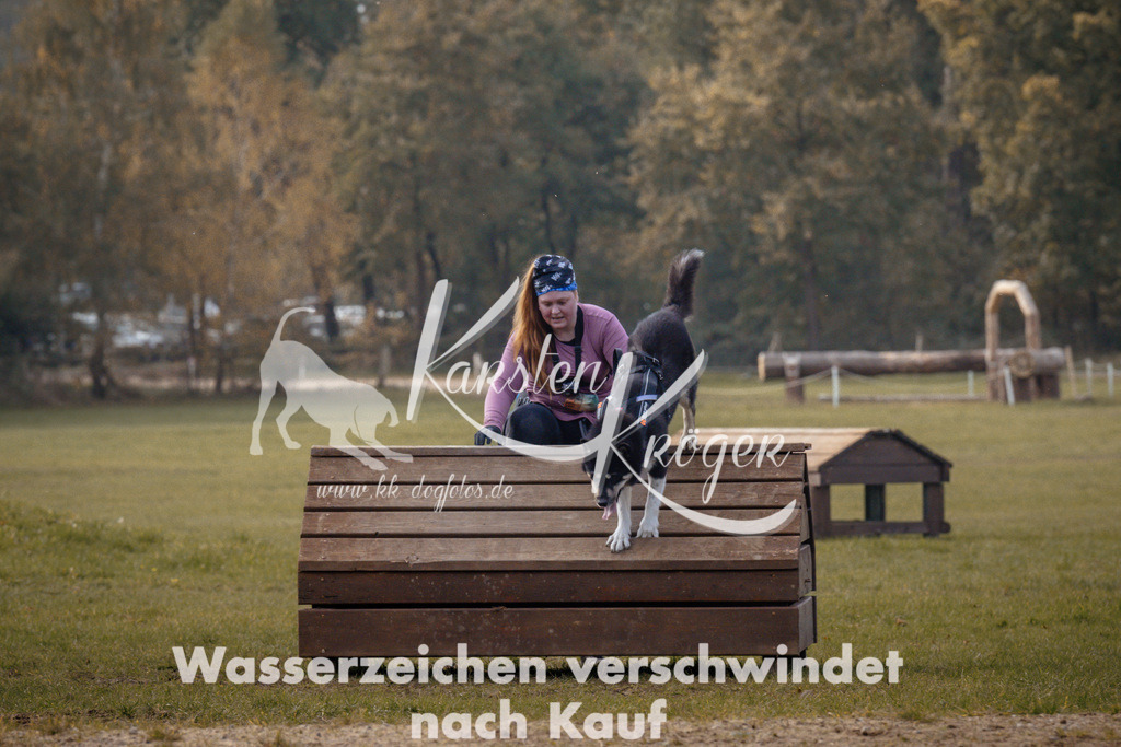 1338_ZZ94332 | kk-dogfotos